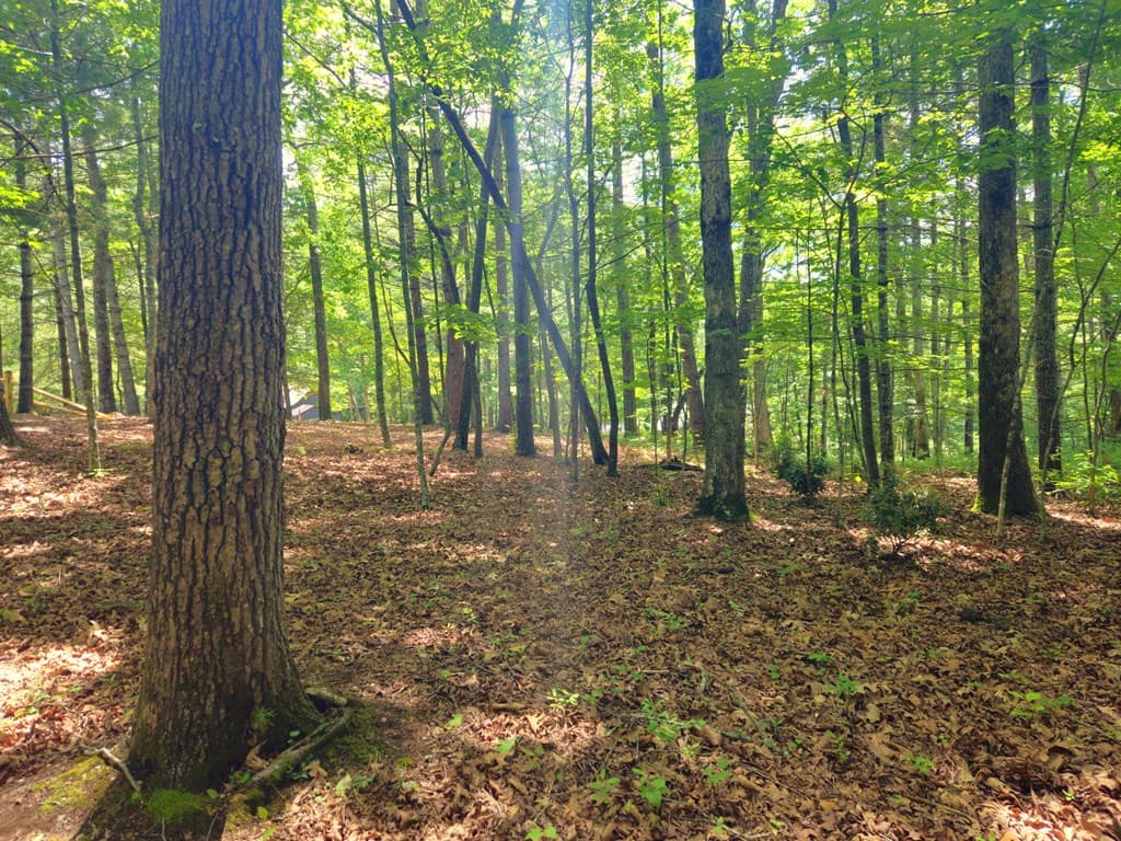 211 Winding Brook Trail, Morganton GA 30560 - Photo