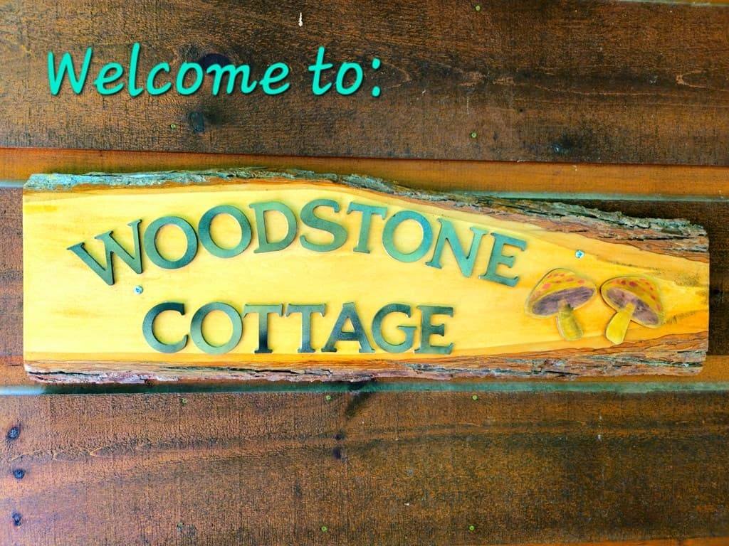211 Winding Brook Trail, Morganton GA 30560 - Photo