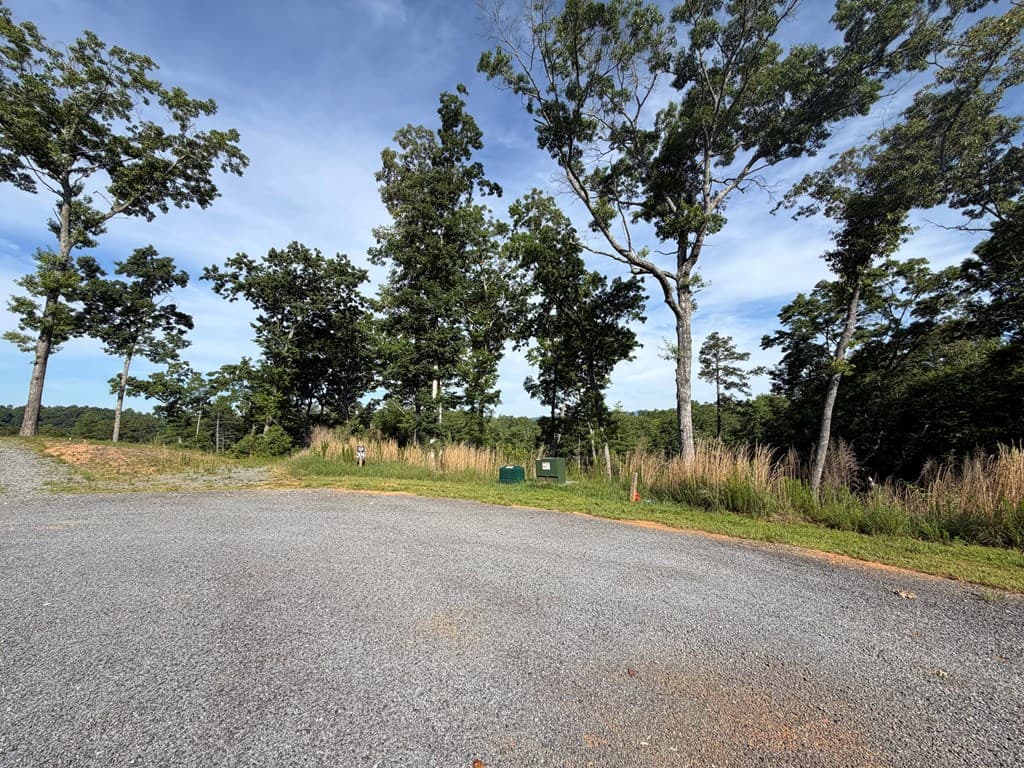 LT 304 Greenwood Court, Ellijay GA 30540 - Photo