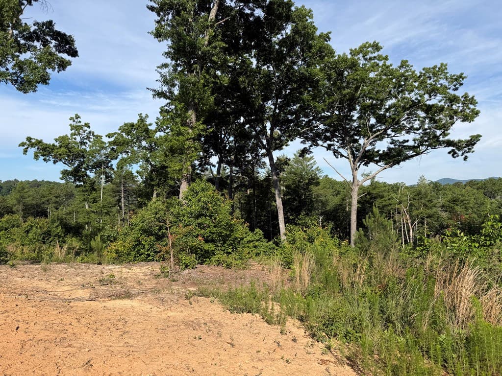 LT 304 Greenwood Court, Ellijay GA 30540 - Photo