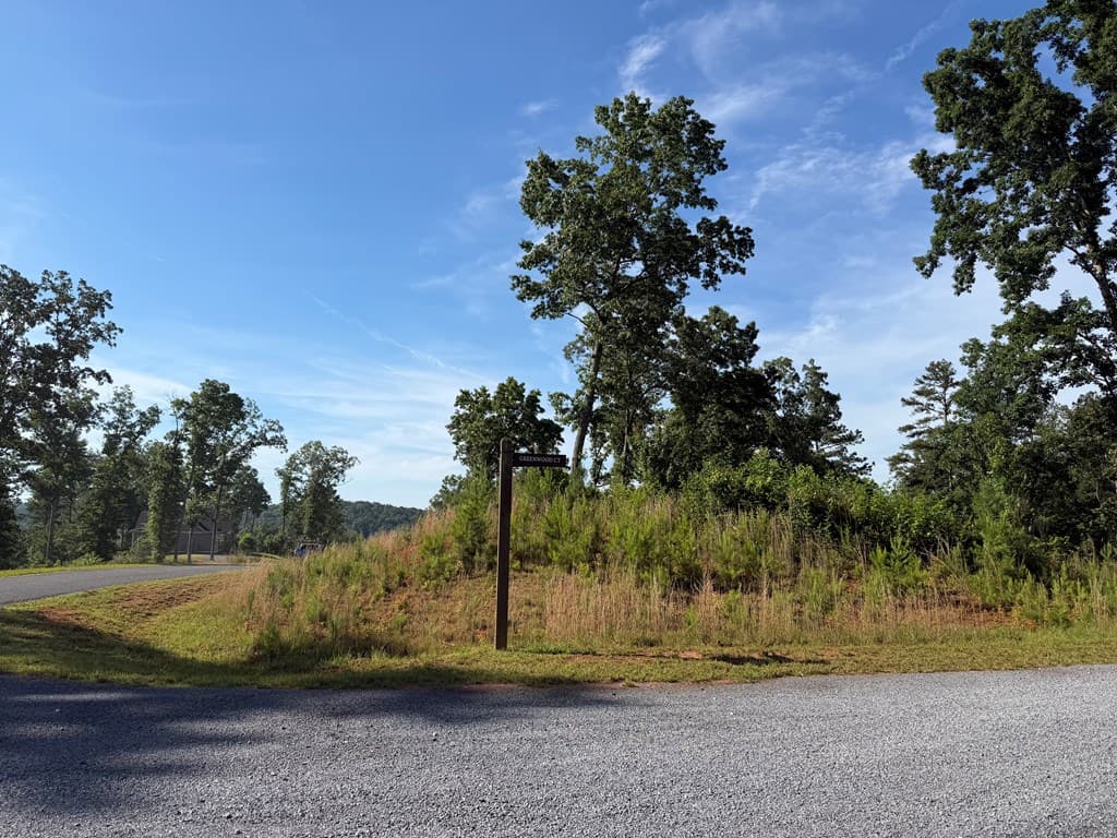 LT 304 Greenwood Court, Ellijay GA 30540 - Photo