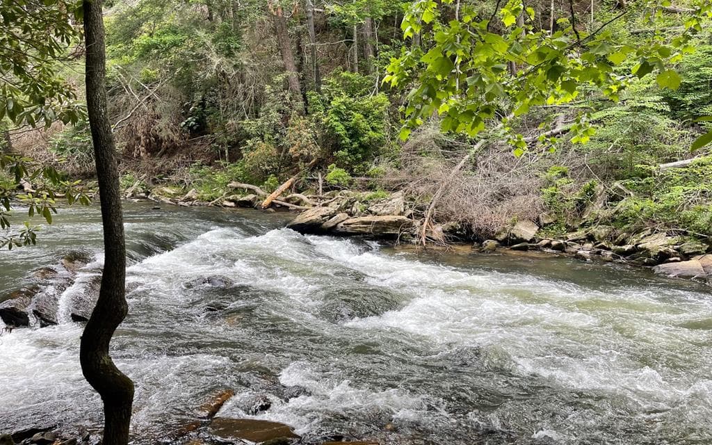 LT 304 Greenwood Court, Ellijay GA 30540 - Photo
