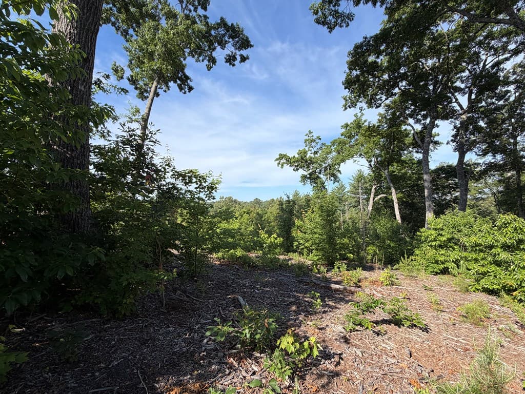 LT 304 Greenwood Court, Ellijay GA 30540 - Photo
