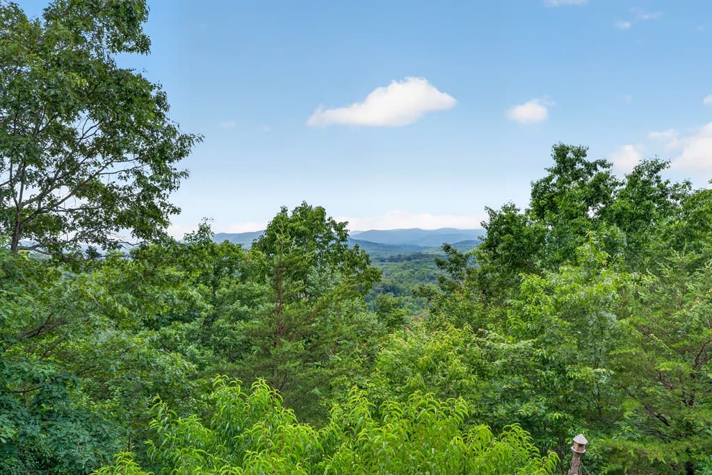 40 Foxfire Lane, Blue Ridge GA 30513 - Photo