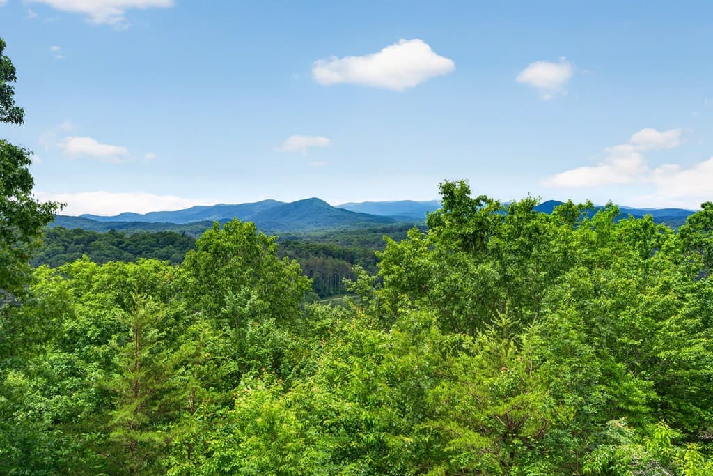 40 Foxfire Lane, Blue Ridge GA 30513 - Photo