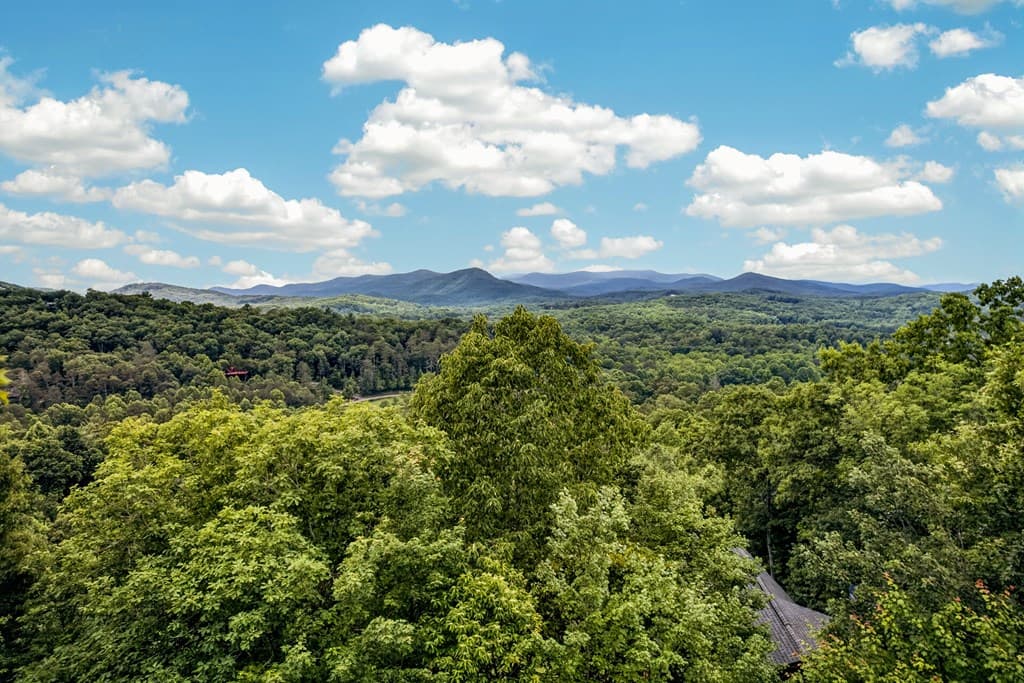 40 Foxfire Lane, Blue Ridge GA 30513 - Photo