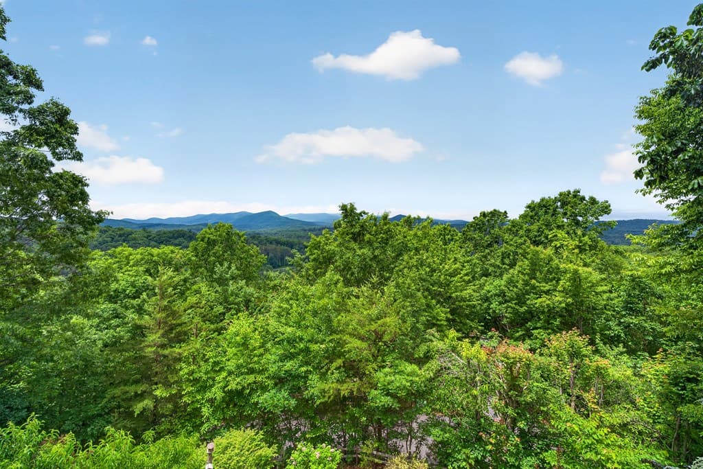 40 Foxfire Lane, Blue Ridge GA 30513 - Photo