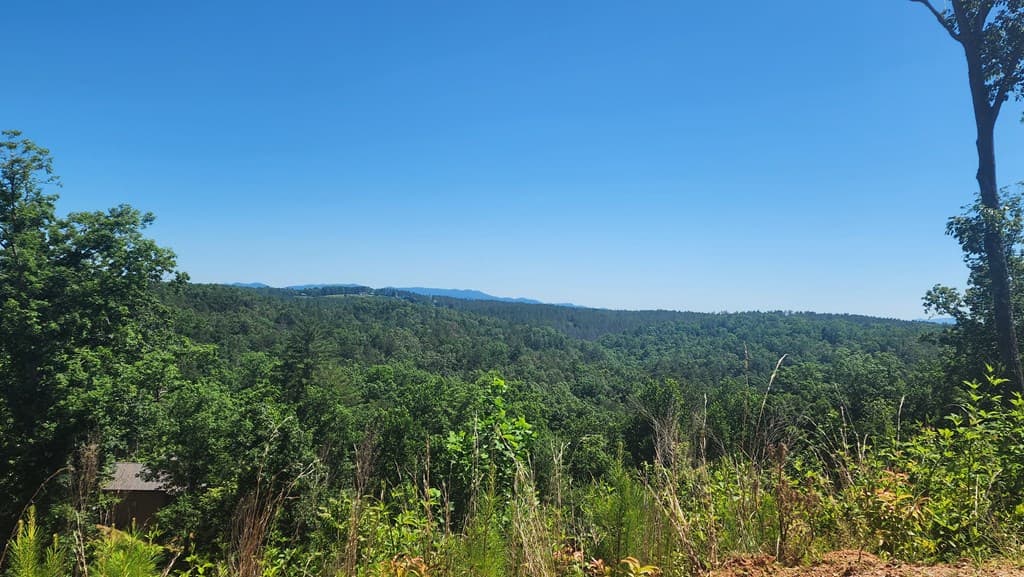 lot 112 Jakes Landing Overlook, Ellijay GA 30540 - Photo