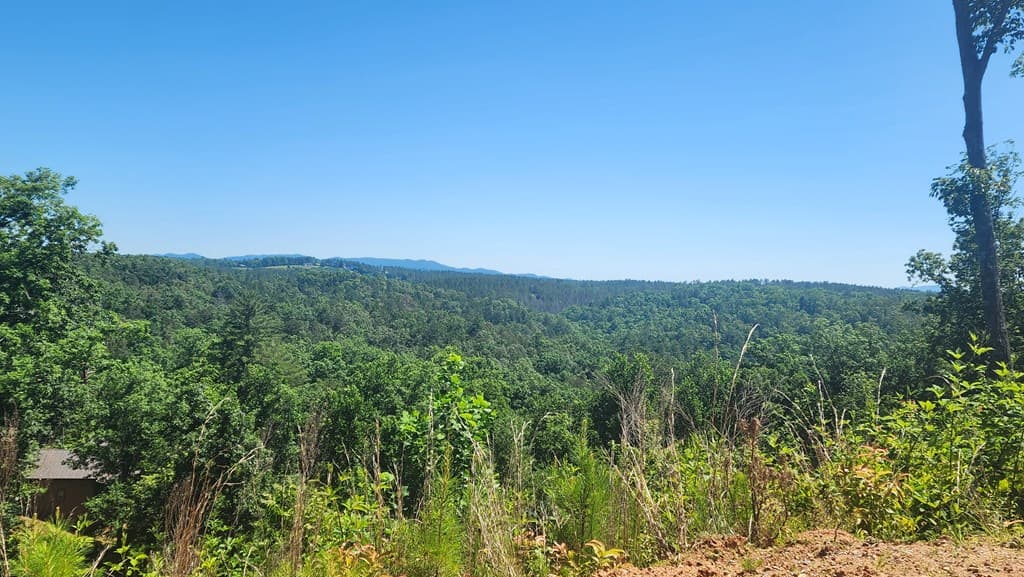 lot 112 Jakes Landing Overlook, Ellijay GA 30540 - Photo