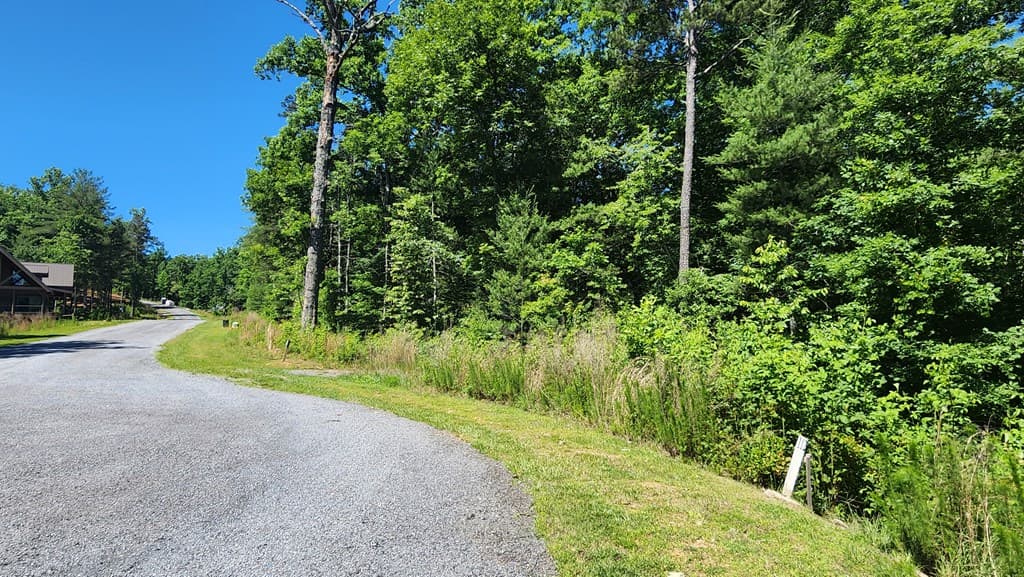 lot 112 Jakes Landing Overlook, Ellijay GA 30540 - Photo