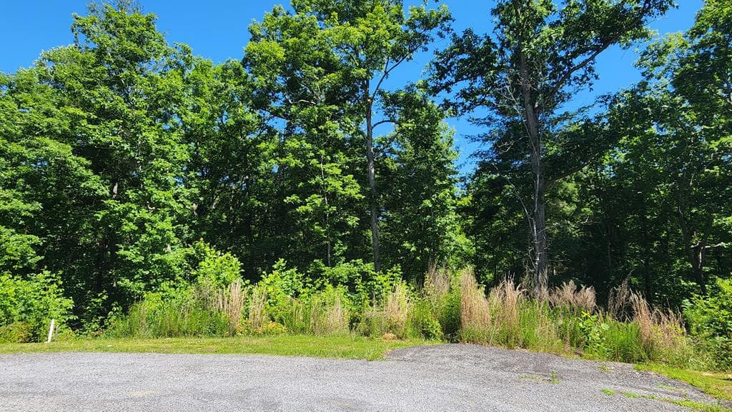 lot 112 Jakes Landing Overlook, Ellijay GA 30540 - Primary photo