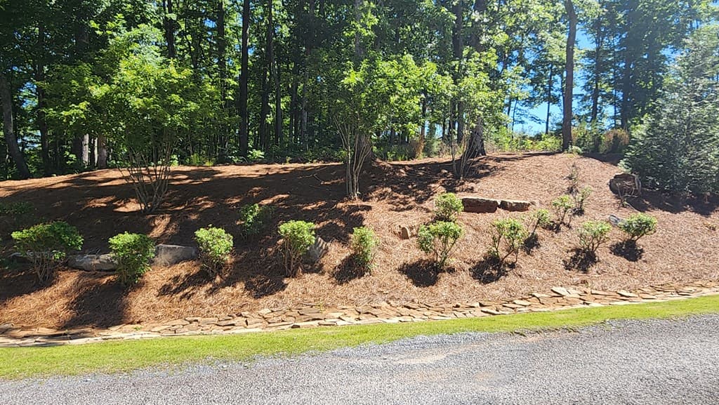 lot 112 Jakes Landing Overlook, Ellijay GA 30540 - Photo