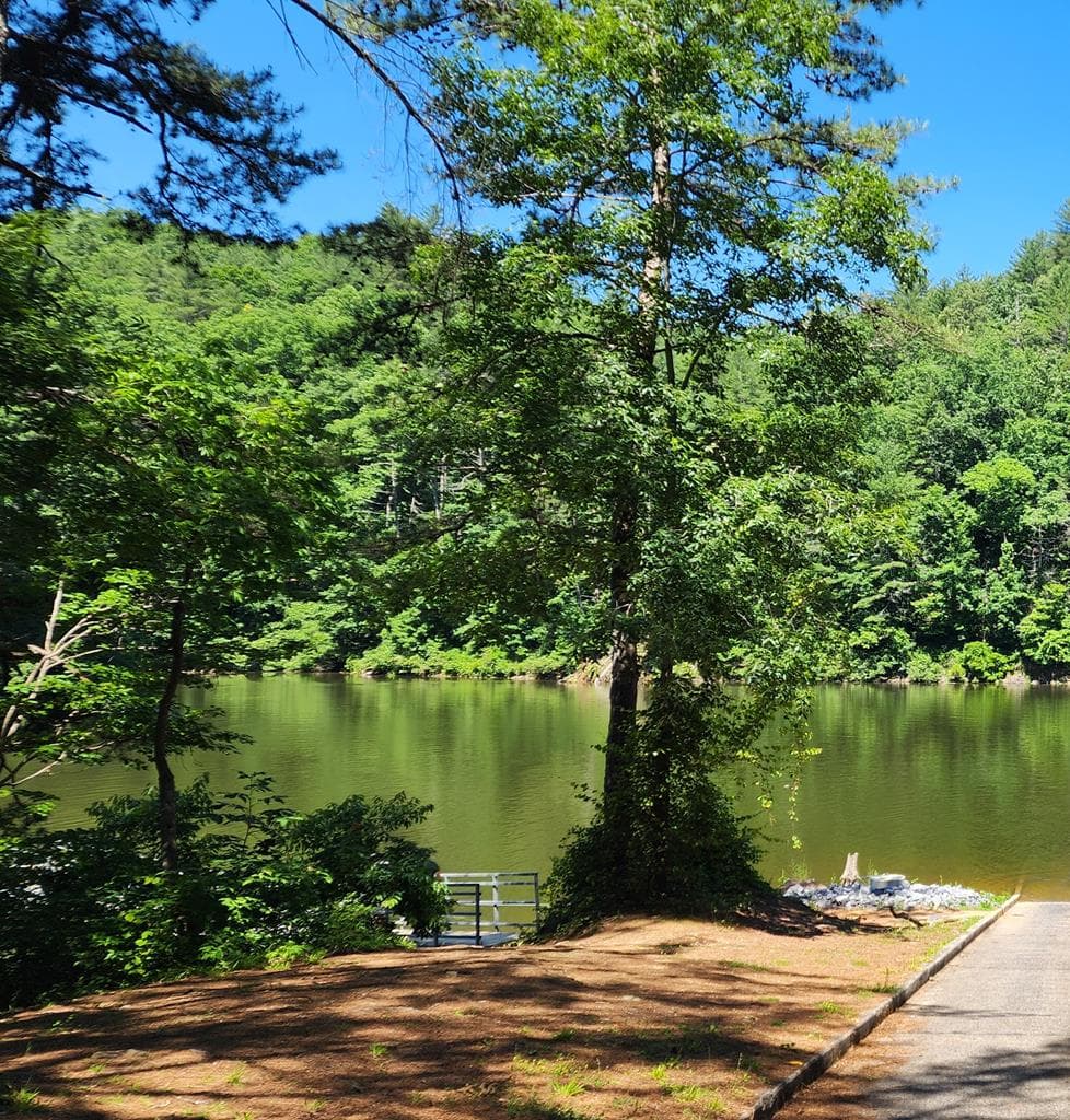 lot 112 Jakes Landing Overlook, Ellijay GA 30540 - Photo