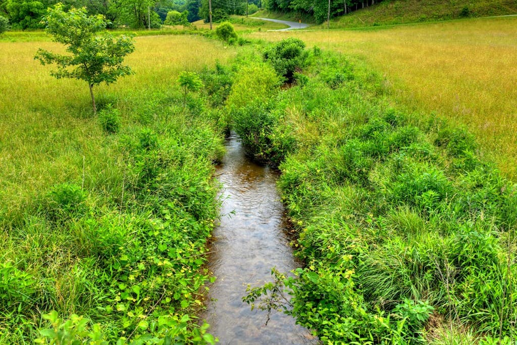 20 Dial Road, Blue Ridge GA 30513 - Photo