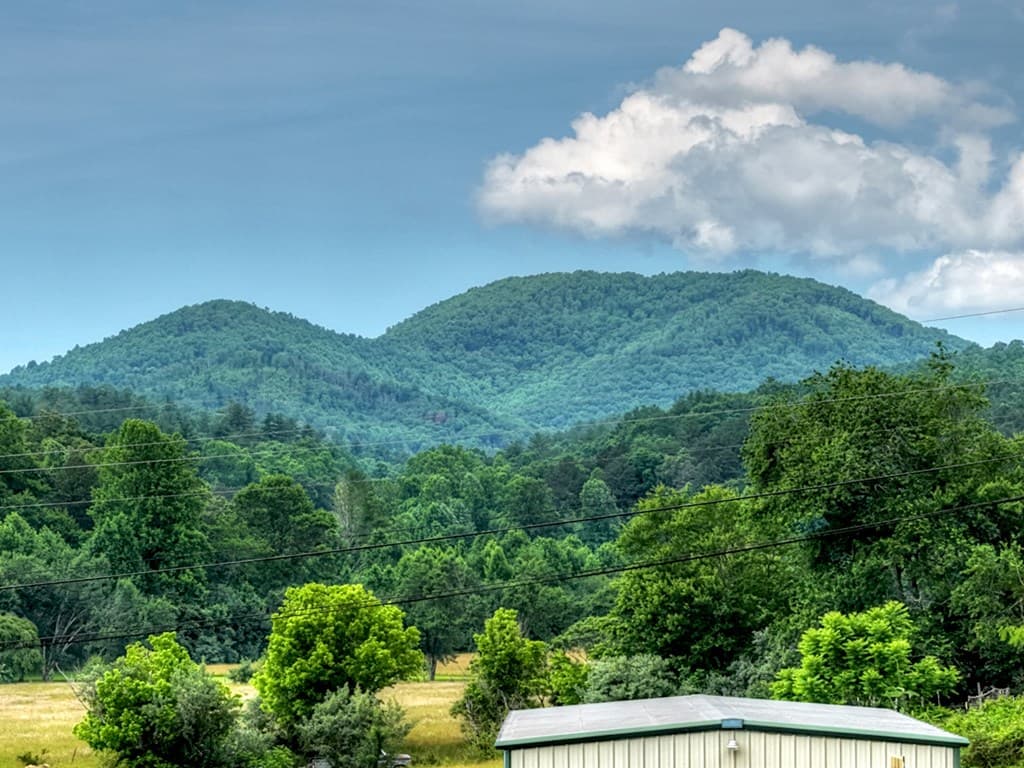 20 Dial Road, Blue Ridge GA 30513 - Photo