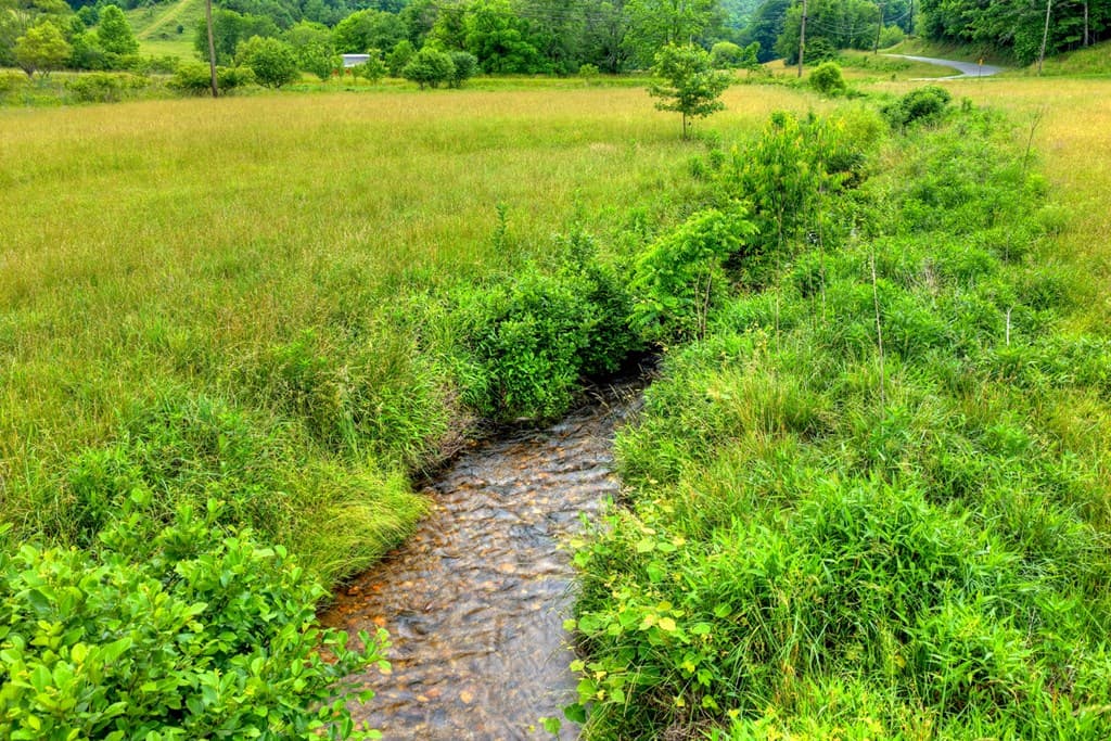 20 Dial Road, Blue Ridge GA 30513 - Photo