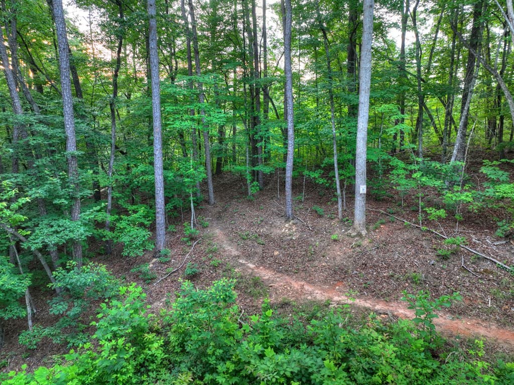 270 Wild Oaks Way, Ellijay GA 30540 - Photo