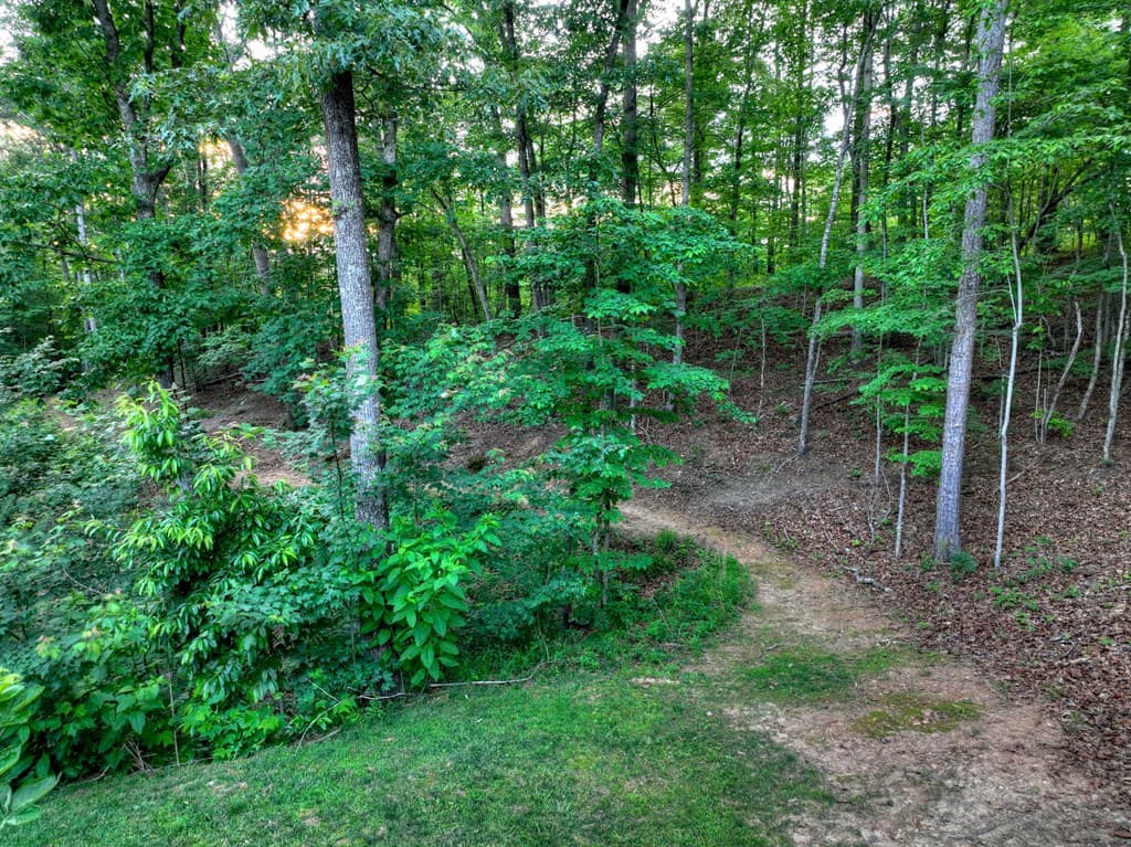 270 Wild Oaks Way, Ellijay GA 30540 - Photo