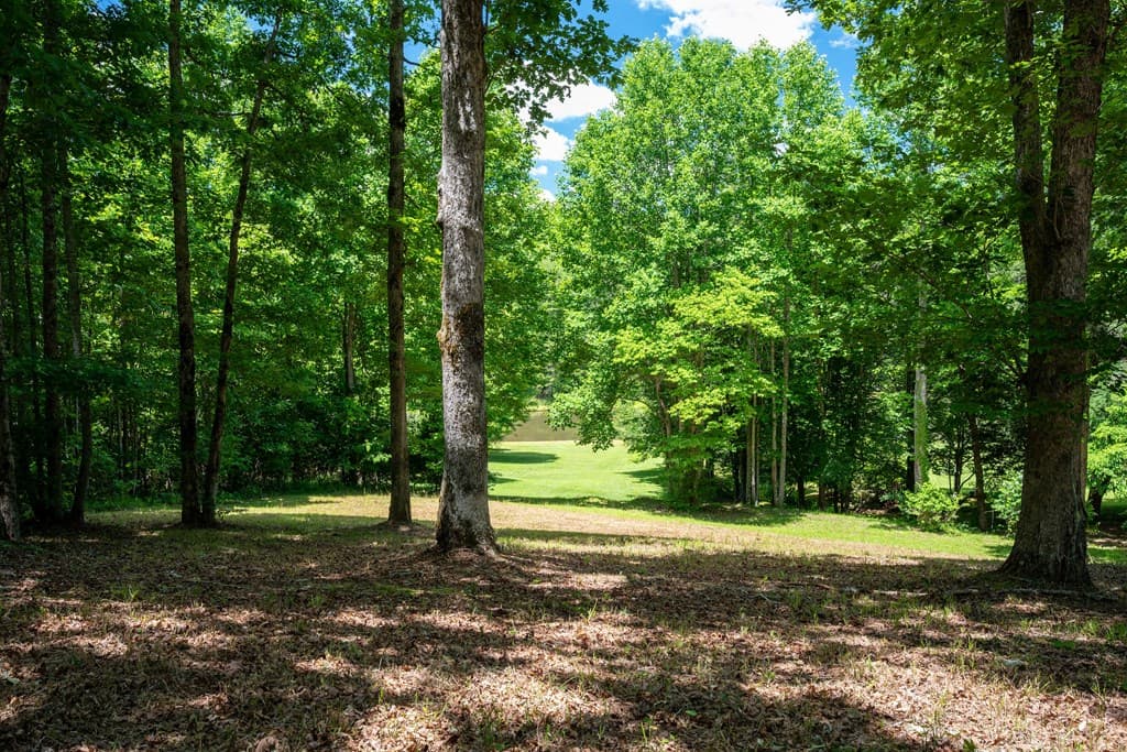 1.57AC Faith Hill Road, Mccaysville GA 30555 - Photo