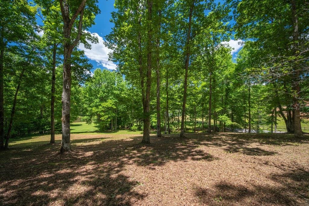 1.57AC Faith Hill Road, Mccaysville GA 30555 - Photo