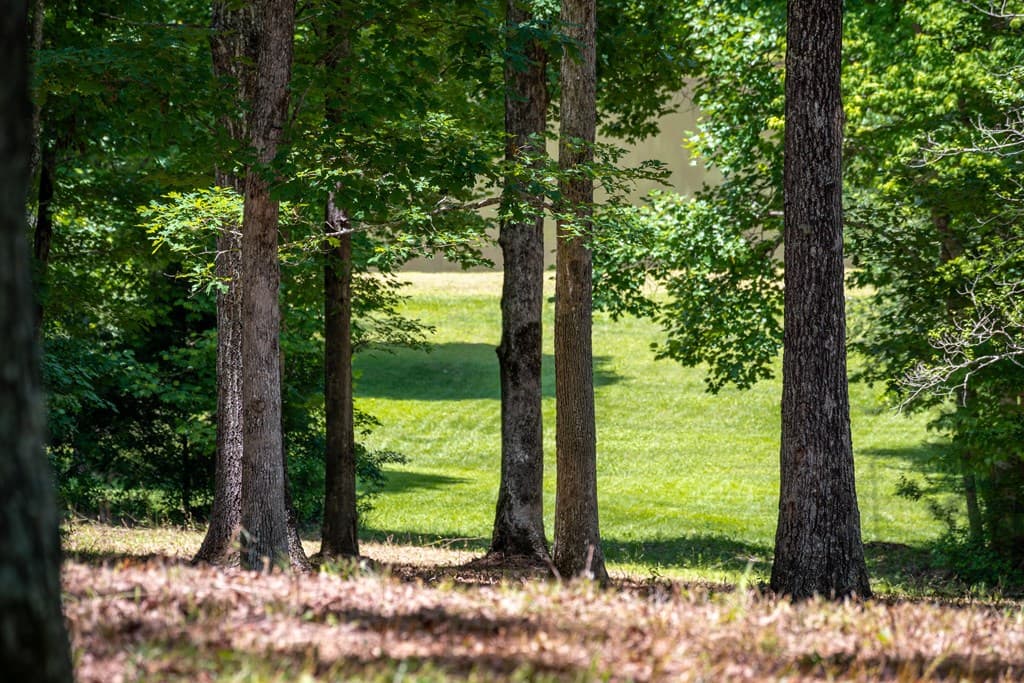 1.57AC Faith Hill Road, Mccaysville GA 30555 - Photo
