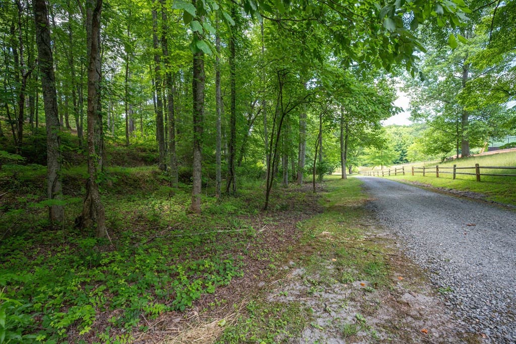 1.57AC Faith Hill Road, Mccaysville GA 30555 - Photo