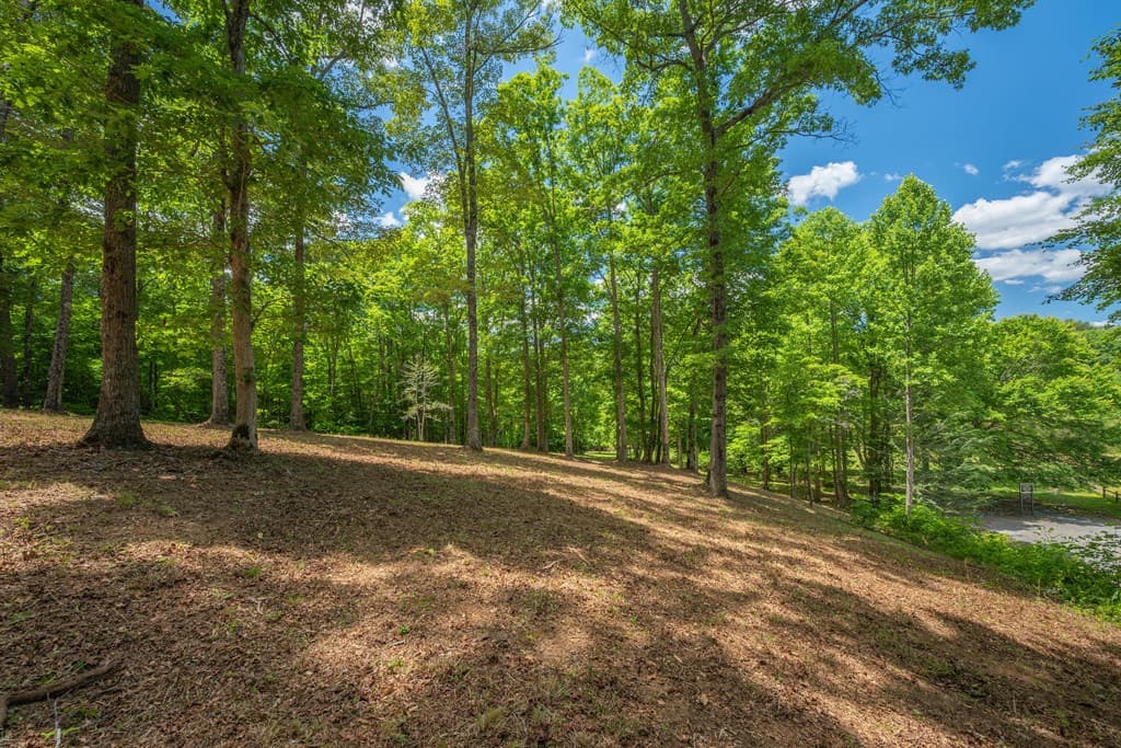 1.57AC Faith Hill Road, Mccaysville GA 30555 - Photo