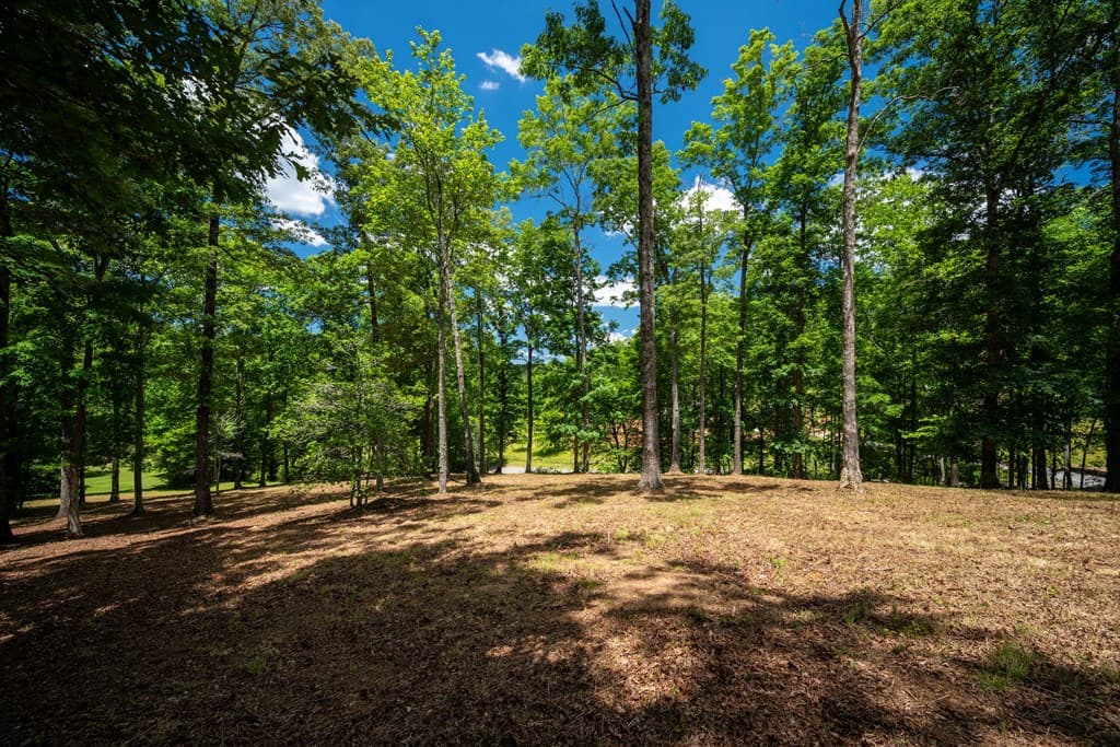 1.57AC Faith Hill Road, Mccaysville GA 30555 - Photo