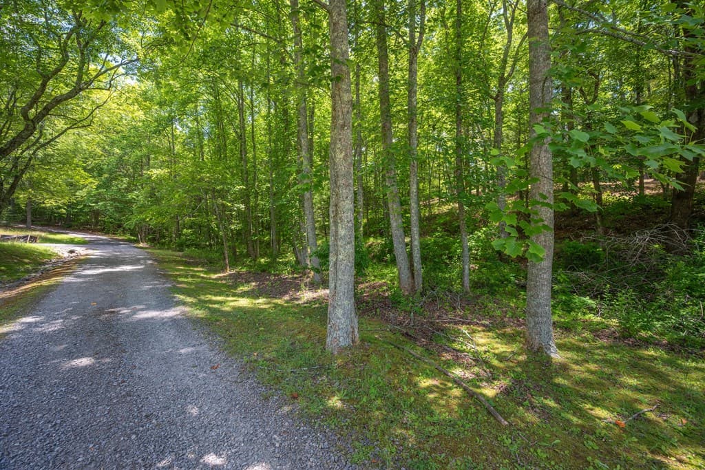 1.57AC Faith Hill Road, Mccaysville GA 30555 - Photo