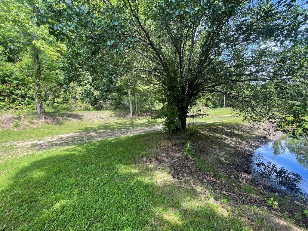 13431 Hwy 68, Tellico Plains TN 37385 - Photo