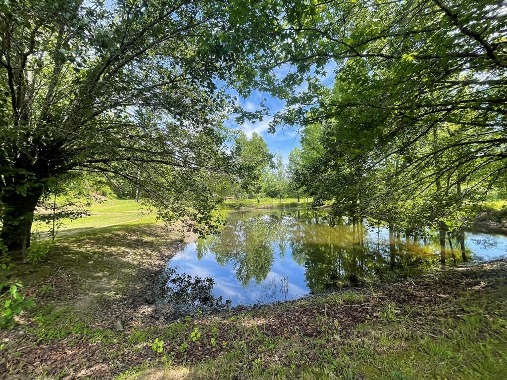 13431 Hwy 68, Tellico Plains TN 37385 - Photo