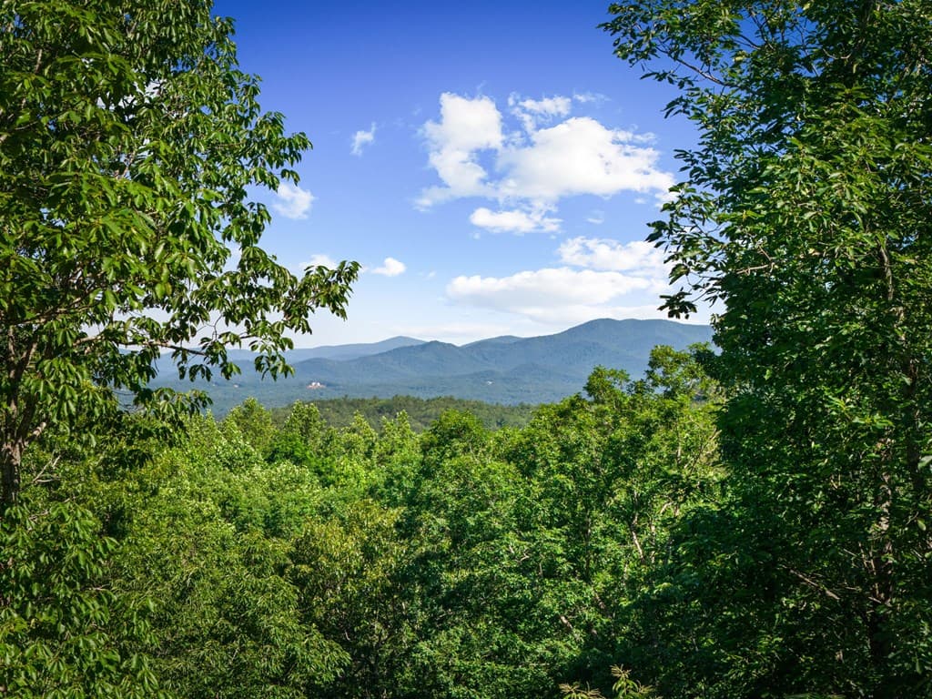 169 Walnut Mountain Road, Ellijay GA 30540 - Photo