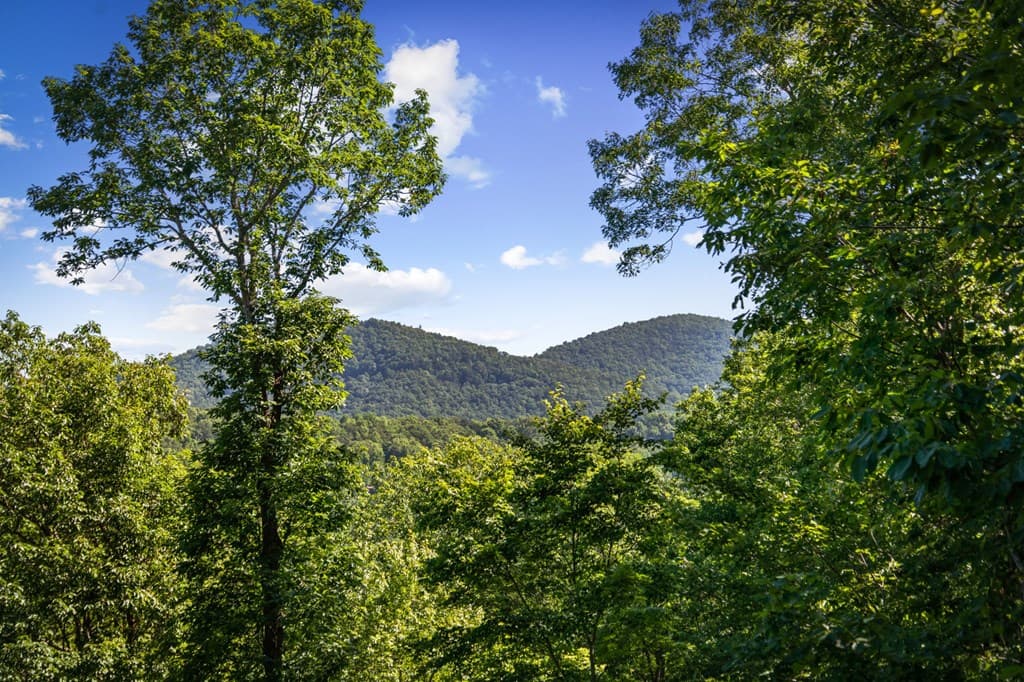 169 Walnut Mountain Road, Ellijay GA 30540 - Photo