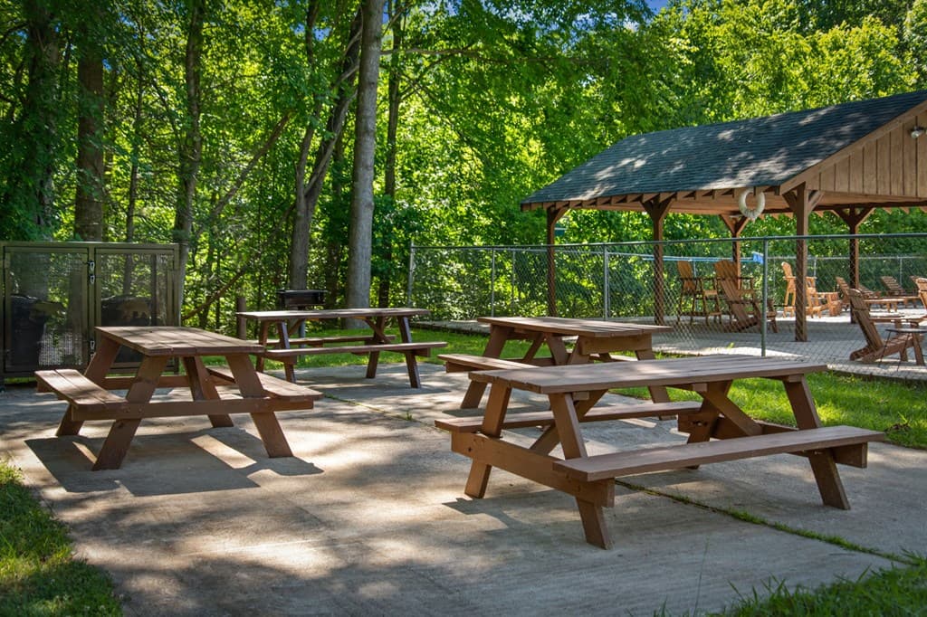 169 Walnut Mountain Road, Ellijay GA 30540 - Photo