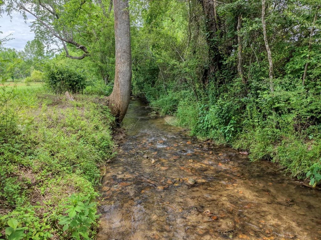 233 Messer Rd (3), Warne NC 28909 - Photo