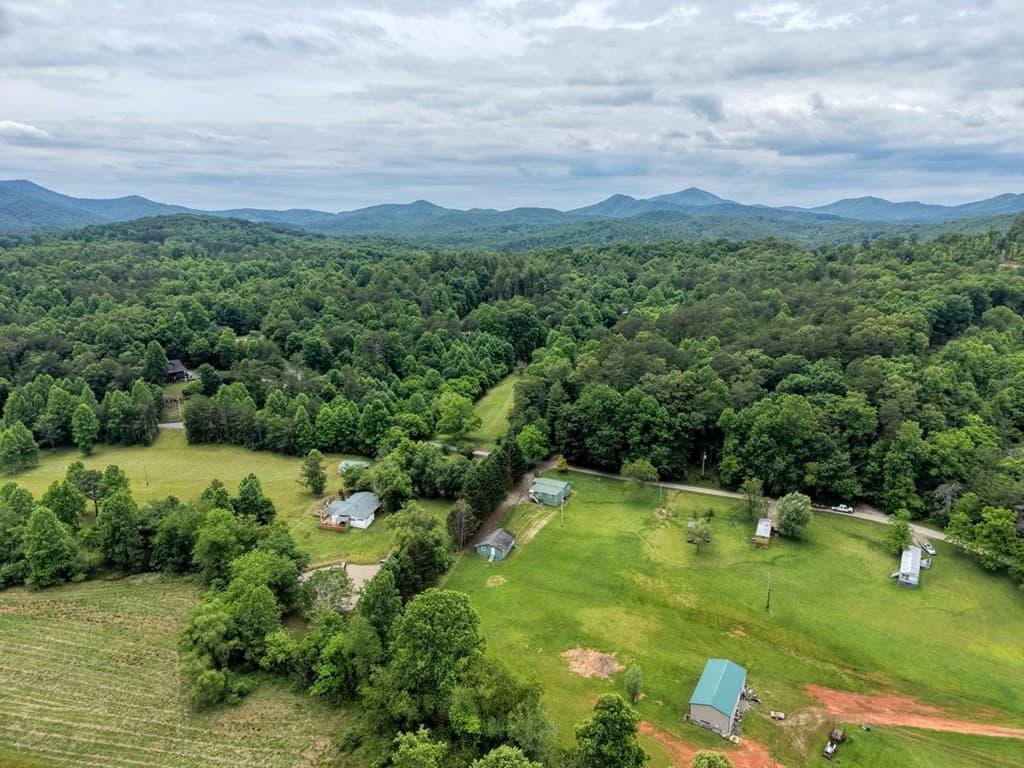 233 Messer Rd (3), Warne NC 28909 - Photo