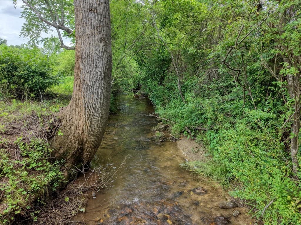 233 Messer Rd (3), Warne NC 28909 - Photo