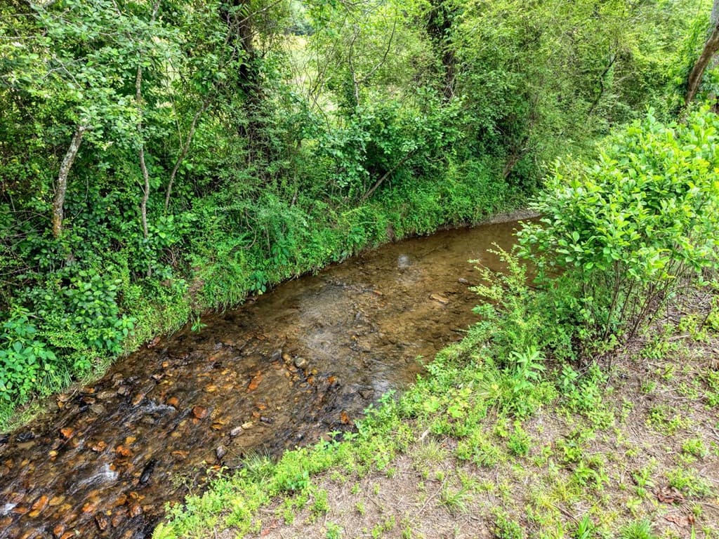 233 Messer Rd (3), Warne NC 28909 - Photo