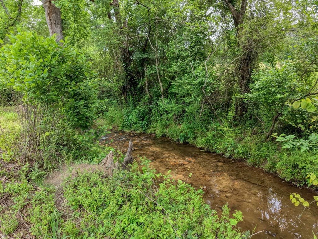 233 Messer Rd (3), Warne NC 28909 - Photo