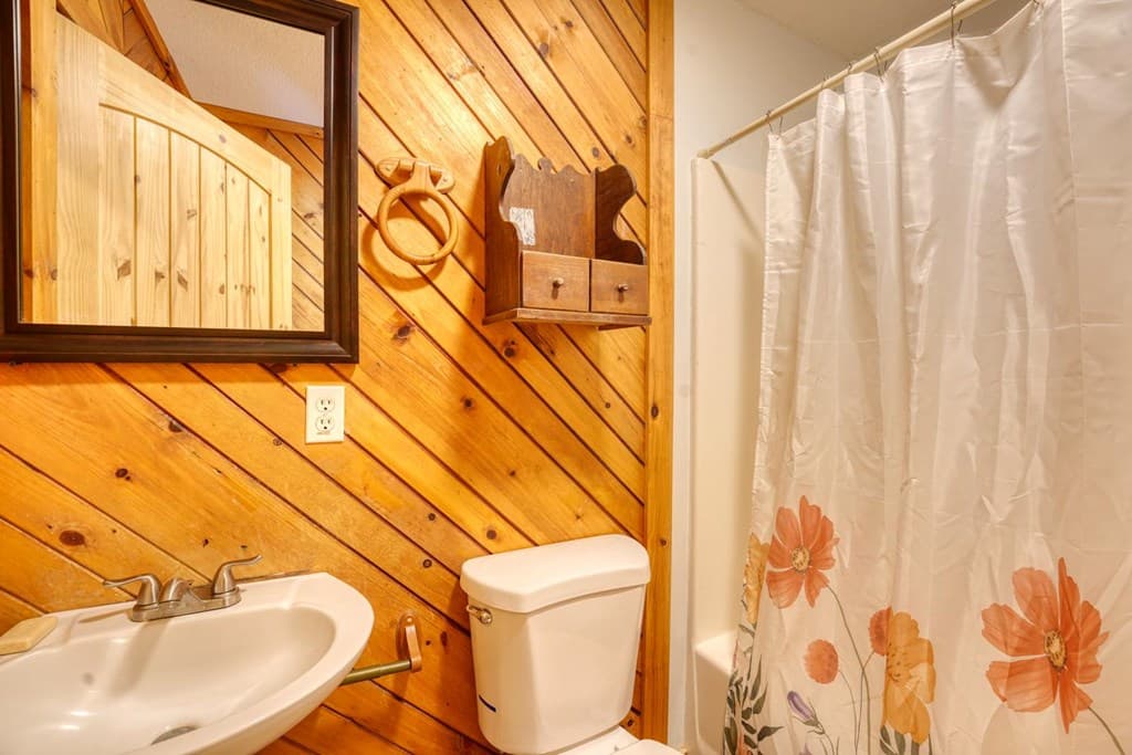 233 Messer Rd (3), Warne NC 28909 - Photo