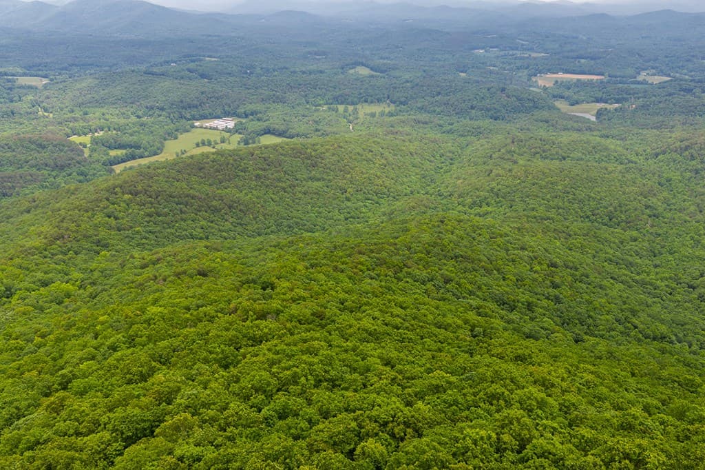 0 Pole Coffee, Ellijay GA 30536 - Photo
