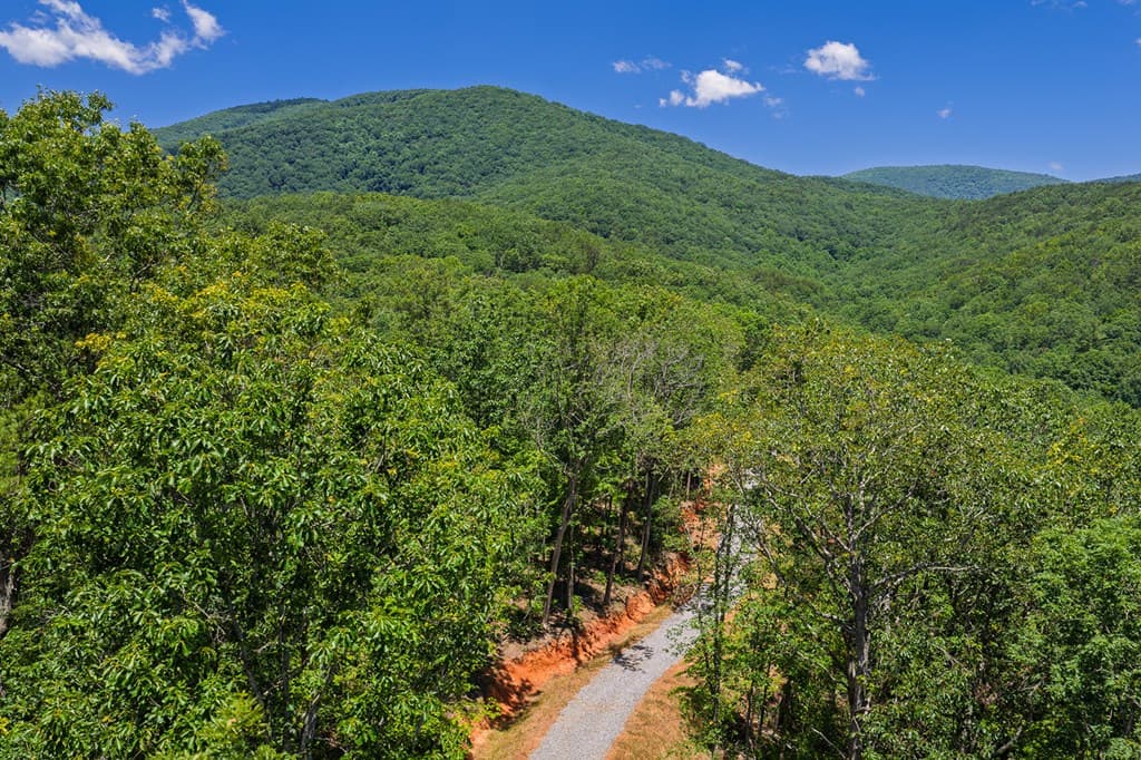 0 Pole Coffee, Ellijay GA 30536 - Photo