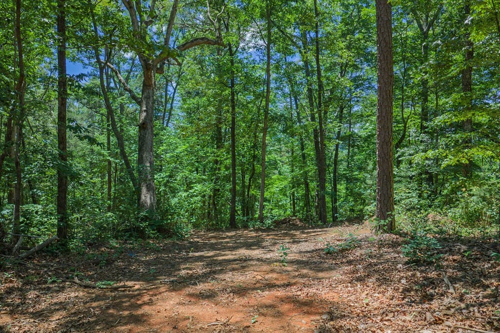 0 Pole Coffee, Ellijay GA 30536 - Photo