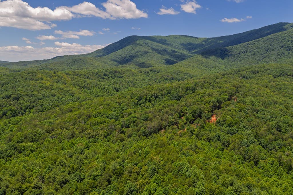 0 Pole Coffee, Ellijay GA 30536 - Photo