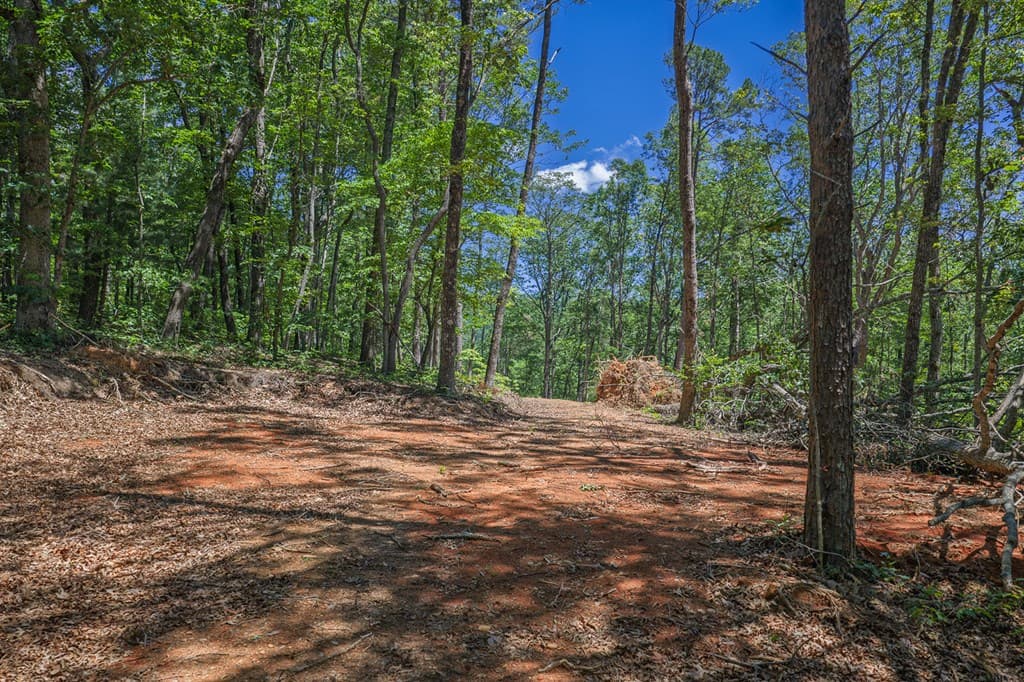0 Pole Coffee, Ellijay GA 30536 - Photo