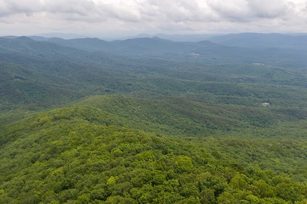 0 Pole Coffee, Ellijay GA 30536 - Photo