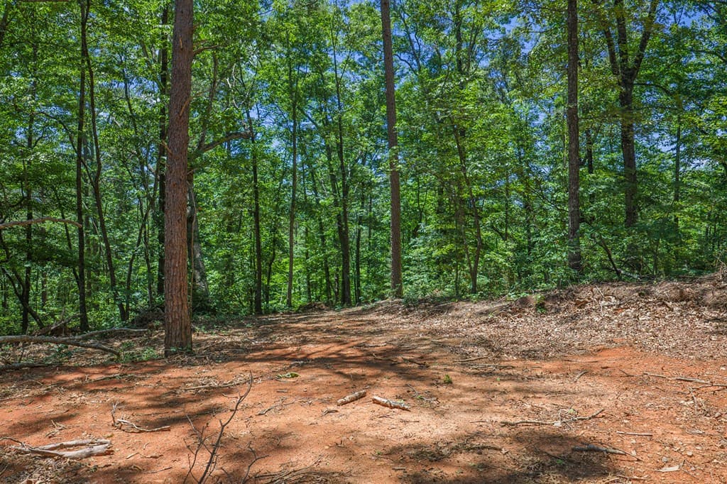 0 Pole Coffee, Ellijay GA 30536 - Photo