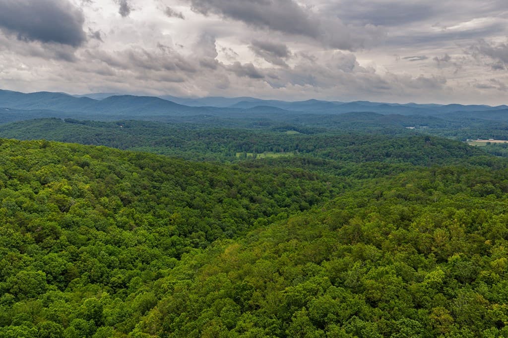 0 Pole Coffee, Ellijay GA 30536 - Photo