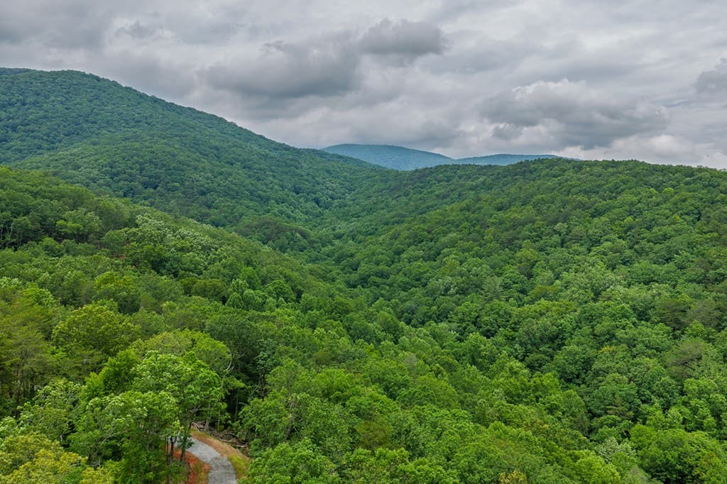 0 Pole Coffee, Ellijay GA 30536 - Photo