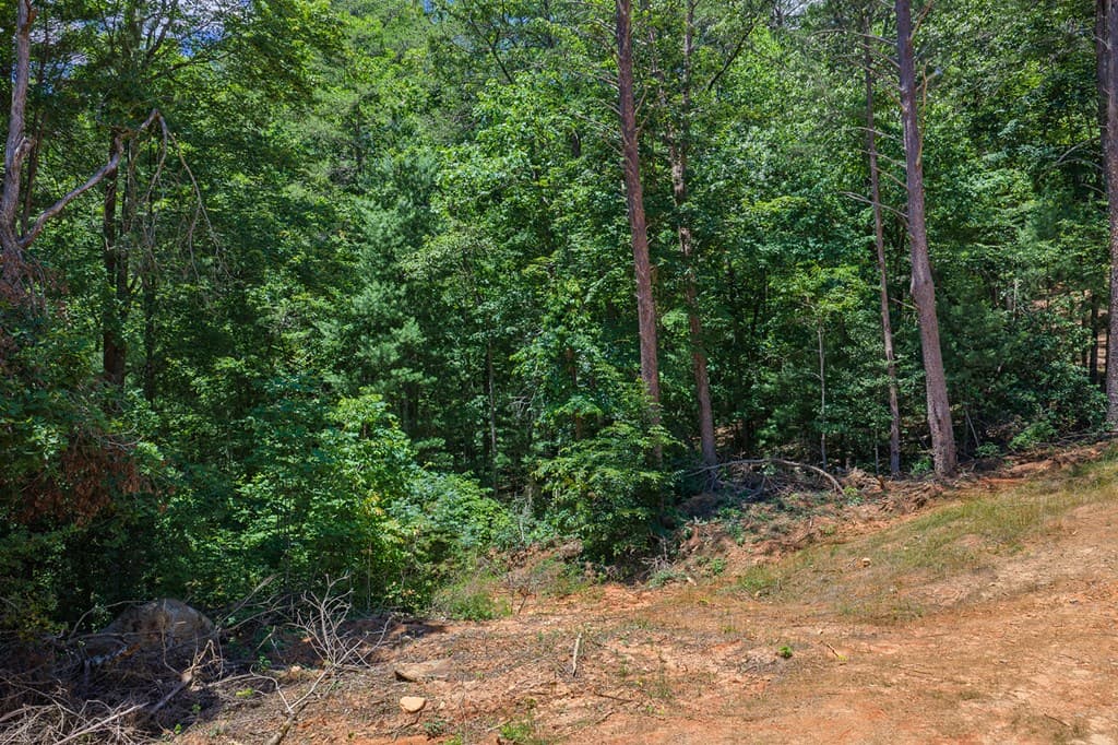 0 Pole Coffee, Ellijay GA 30536 - Photo